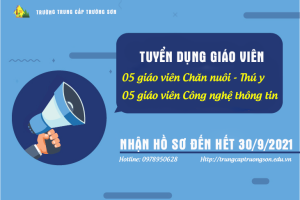 Thông báo tuyển dụng giáo viên