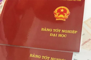 Từ 25/12/2019, công chức cấp xã phải có bằng Đại học